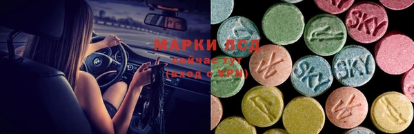 дживик Горнозаводск