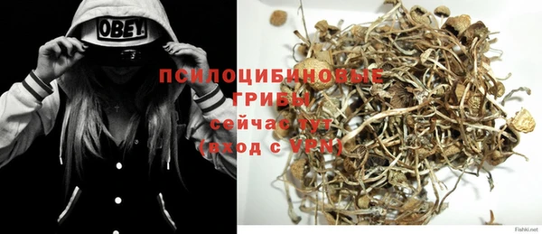 стафф Горняк