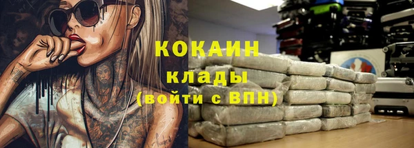 дживик Горнозаводск